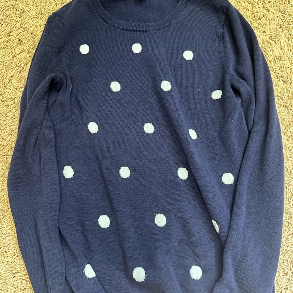 Banana Republic Navy and White Polka Dot Crewneck Sweater